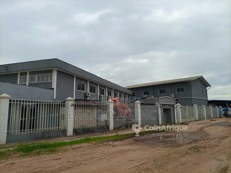 Location Bureaux & commerces 500 m² - Pointe-noire