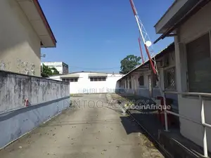 Photo - Location complexe de bureaux 22 pièces - Pointe-noire