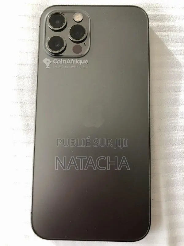 iPhone 12 Pro Apple Gris - 128 Go Occasion