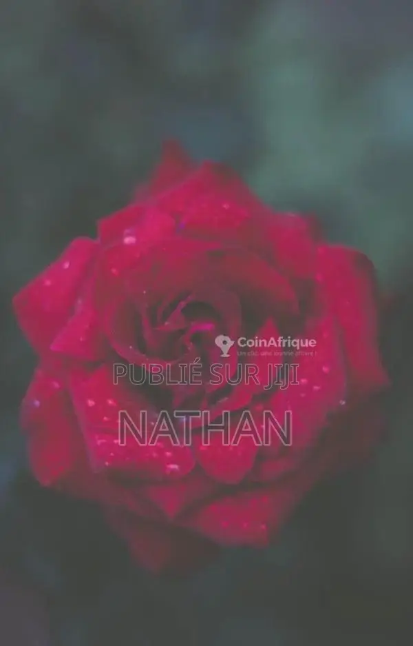 La dot en Afrique : traditions et alliances communautaires