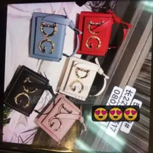 Photo - Sac à main de luxe Dolce & Gabbana élégant