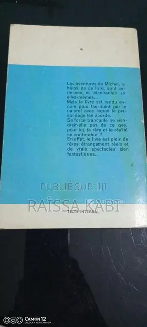 La Fée aux Miettes - Roman fantastique