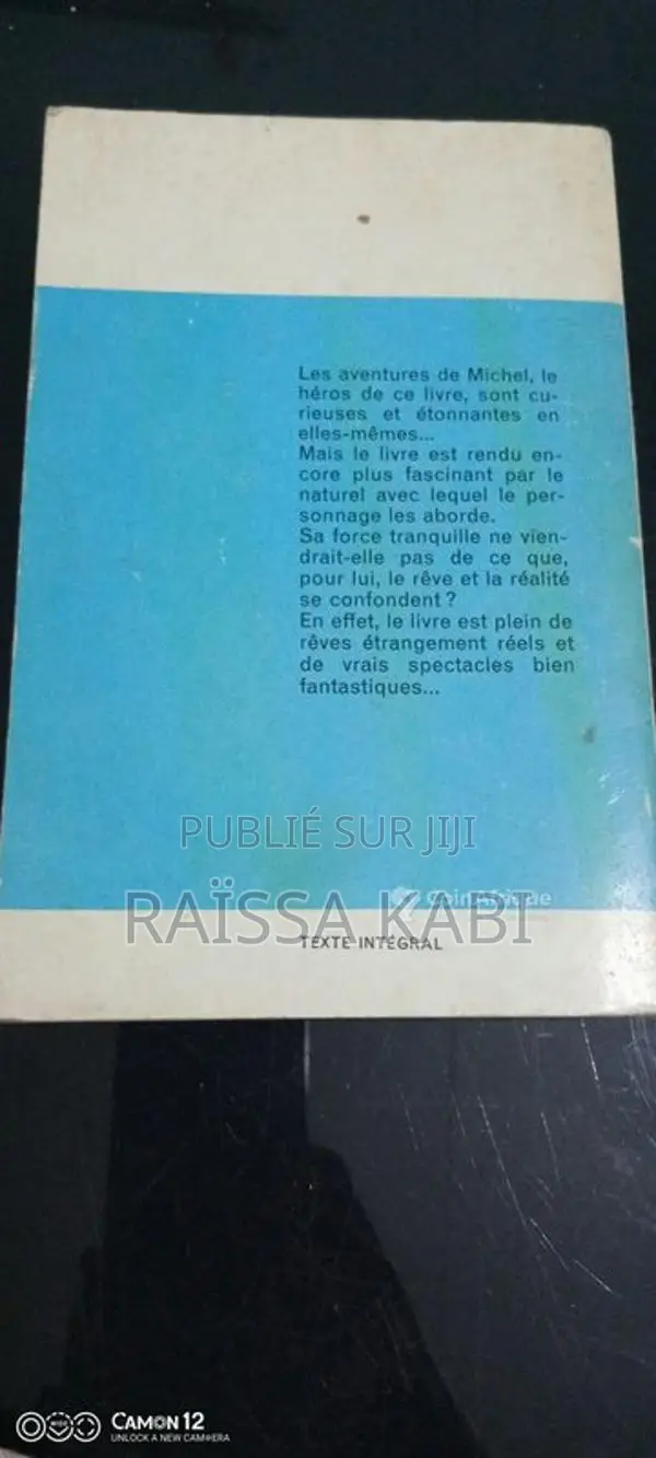 La Fée aux Miettes - Roman fantastique