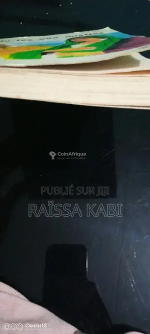 La Fée aux Miettes - Roman fantastique