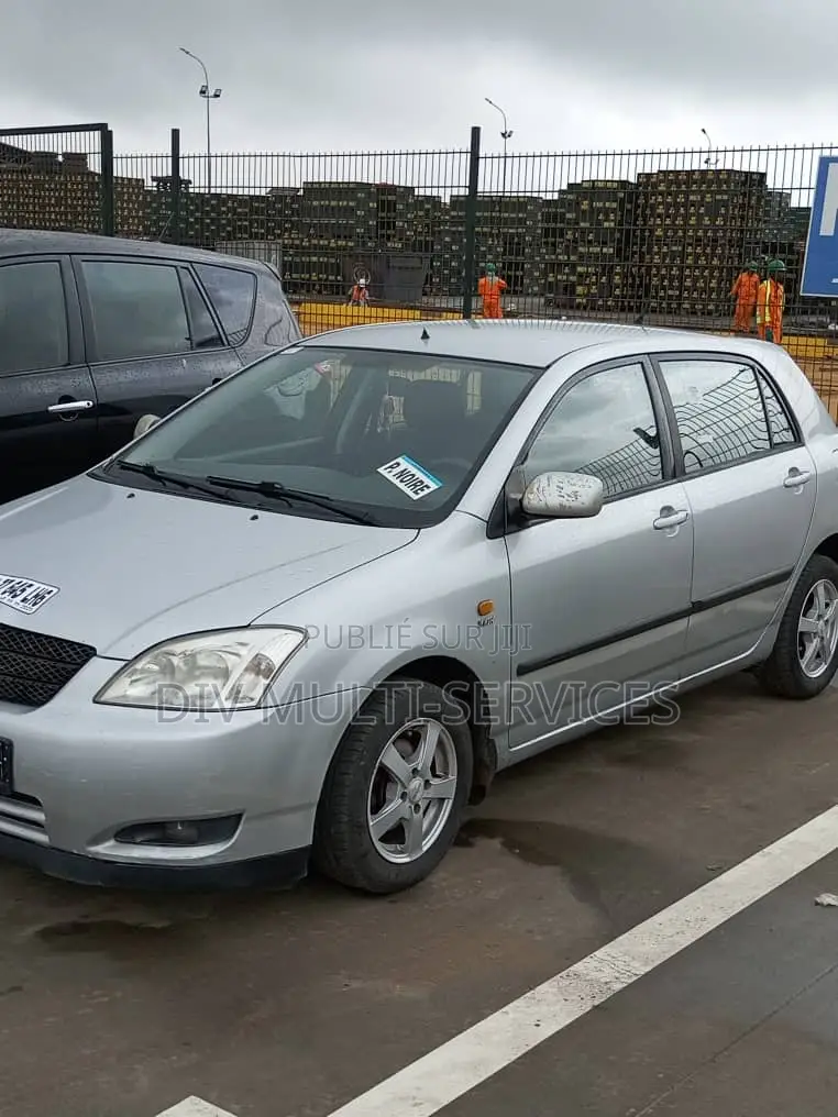 Toyota Corolla 2002 Gris