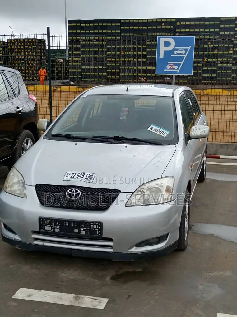 Toyota Corolla 2002 Gris