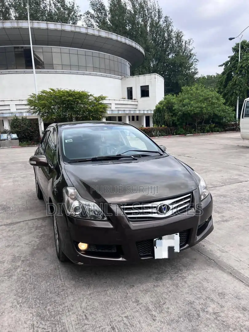 Toyota Lame 2006 Marron