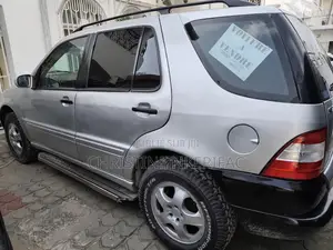 Photo - Mercedes-Benz M Class 2007 Gris