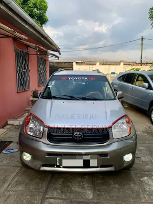 Photo - Toyota RAV4 2006 Gris