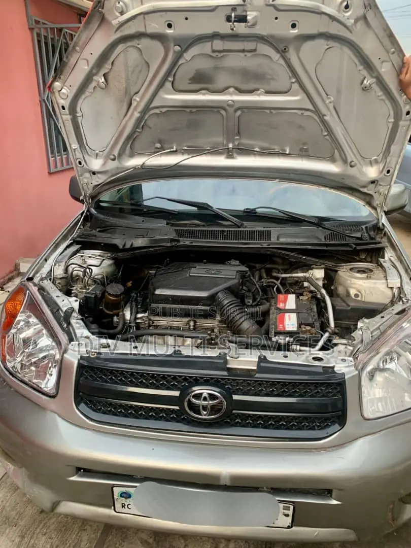 Toyota RAV4 2006 Gris